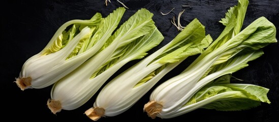 Wall Mural - A top view of fresh raw Belgian endives chicory on a black table with copy space for text