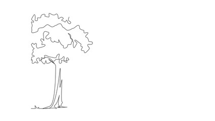 Poster - self drawing animation of continuous line drawing shady trees that thrive in space. used to sit and 