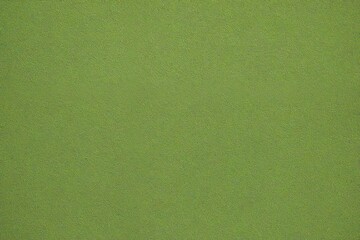 Canvas Print - green paper background