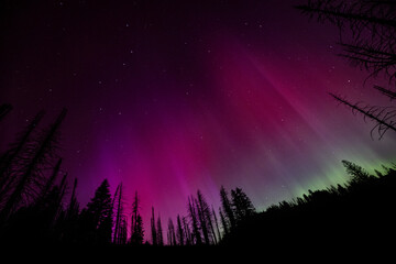 northern lights on display