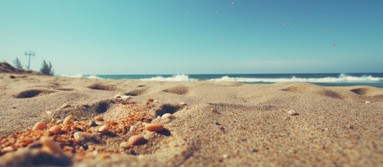 Poster - A beach scene with sand grains between toes in a copy space image.