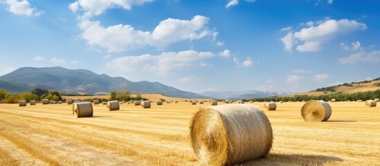 Aufkleber - Autumn agricultural field with haystacks, providing a serene background in a rustic setting for a copy space image.