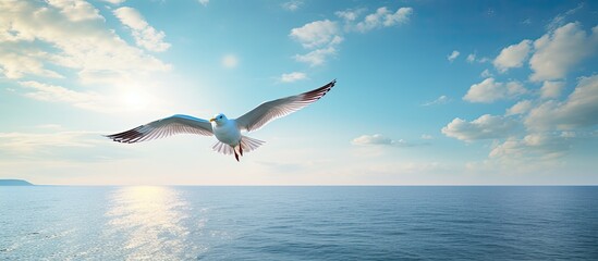 Aufkleber - A seagull soaring high in the sky, with a beautiful ocean view beneath it, creating a picturesque copy space image.
