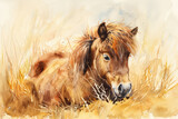 brown pony  in a field, in style of an aquarelle