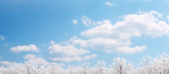 Poster - A serene winter backdrop featuring a gentle spring breeze and a clear blue sky with fluffy white clouds, creating a peaceful atmosphere for a soothing copy space image.