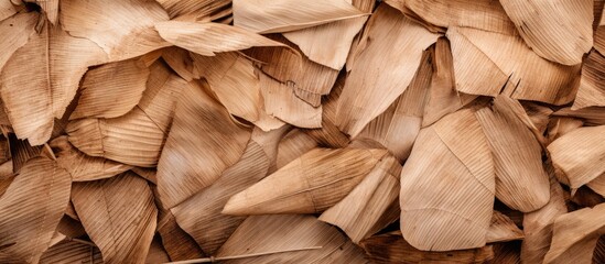 Aufkleber - Nature background with a detailed texture of dried coconut leaves providing a picturesque copy space image.