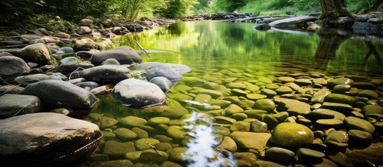 Poster - Nature stones and green landscape reflections in the creek create a serene copy space image.