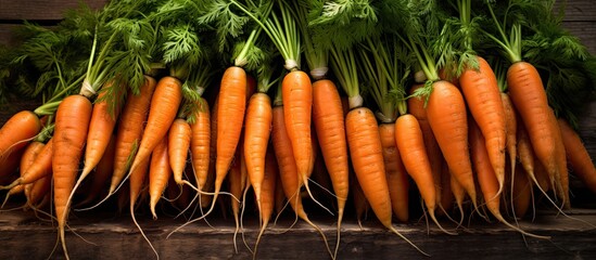 Fototapete - Carrots for sale at a farmers market with a copy space image.