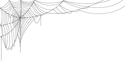 Wall Mural - Spider web line art vector