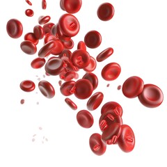 Poster - red blood cells in spleen function detailed 3d render of the spleen s role in blood cell circulation
