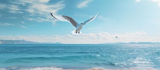 Aufkleber - A seagull soaring high in the sky, with a beautiful ocean view beneath it, creating a picturesque copy space image.