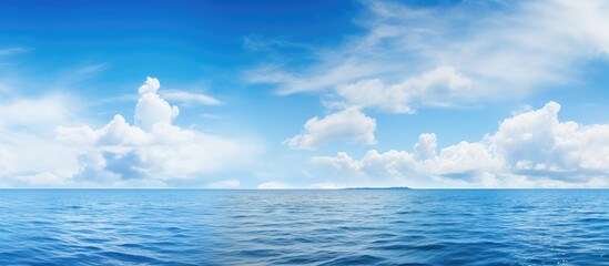 Poster - Seascape featuring a tranquil sea under a vast blue sky with trees on the horizon, providing a serene backdrop for a copy space image.