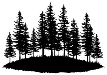 silhouettes of pine trees in a forest 