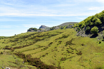 Wall Mural - Arraba meadows with Mount Gorbeia or Gorbea in the background. Gorbeia Natural Park. Basque Country. Spain