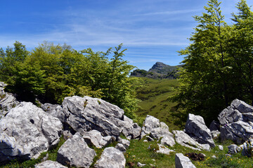 Wall Mural - Mount Aldamin (1373 m) from Itxina. Gorbeia (or Gorbea) Natural Park. Basque Country. Spain