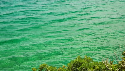 abstract green sea water background