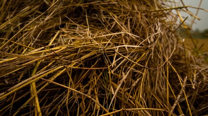 Sticker - Close-up of a rain-soaked haystack, vivid detail of the hay strands, overcast rural setting. 