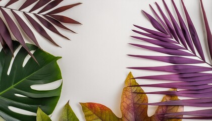Wall Mural - creative layout made of colorful tropical leaves on white background minimal summer exotic concept with copy space border arrangement