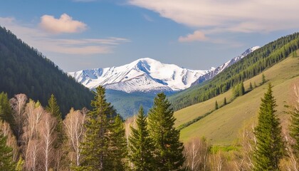 Wall Mural - view of a mountain landscape with snow capped peak north altai gorny altai republic russia