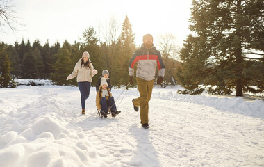 Parents take children on sleds while happily walking along snowy path in winter park. Man pulls sled with his son and daughter and smiling woman follows them. Concept of family winter fun.