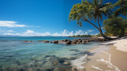  Beautiful Tropical Beach with Clear Blue Waters and Palm Trees