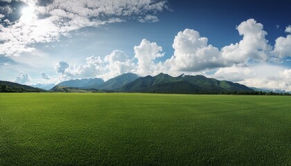 Wall Mural - a wide expanse of lush green grassland landscape meadow with clear skies, clouds, and mountains in the distance