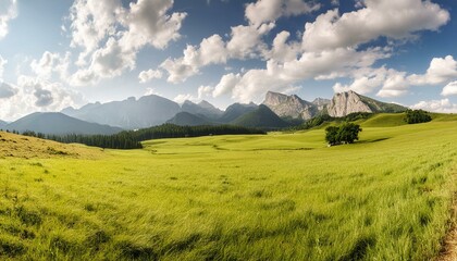 Wall Mural - a wide expanse of lush green grassland landscape meadow with clear skies, clouds, and mountains in the distance