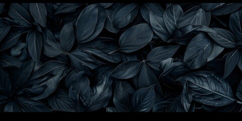 abstract black tropical leaf textures for dark nature background flat lay 