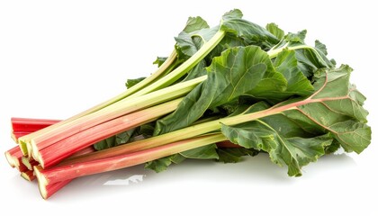 Canvas Print - Rhubarb Fresh Stalks Isolated White Background Healthy