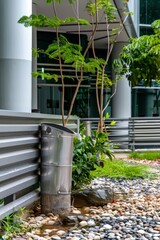 Wall Mural - Professional Photography of a rainwater harvesting system installed on the office premises, conserving water, Generative AI