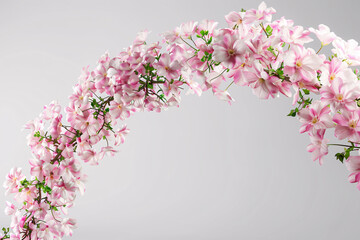 Wall Mural - springtime pink blossoms on a white background