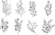 © wanna - set Floral branch and minimalist flowers for logo or tattoo. Hand drawn line wedding herb