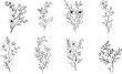 © wanna - set Floral branch and minimalist flowers for logo or tattoo. Hand drawn line wedding herb