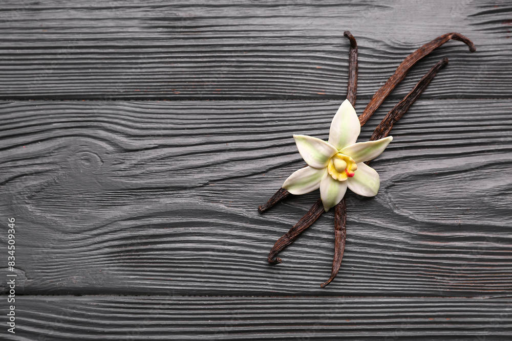 Beautiful vanilla flower and sticks on black wooden background