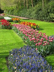 Canvas Print - Keukenhof