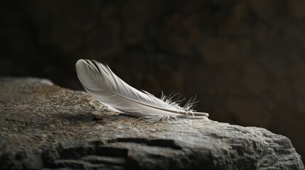 Poster - Delicate feather on a rugged rock