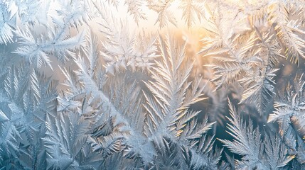 Poster - Intricate frost patterns on glass