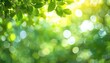 © BALBALCAT - Nature's Beauty: Green Bokeh Background from Enchanted Forest