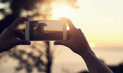 Person, hands and phone for picture in nature at sunset, vacation with memory of horizon. Mobile photographer, ui screen and summer scene with tree at dusk, beach holiday with creativity in Mauritius