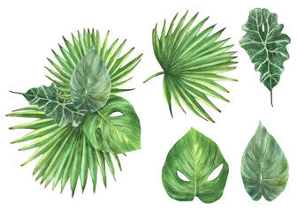 Wall Mural - Bouquet of tropical green leaves, exotic home plant watercolor set. Monstera palm leaf, greenery jungle. Botanical composition clipart kit for card. Hand drawn illustration Isolated white background. 