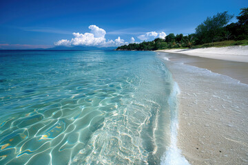Wall Mural - A stunning tropical beach with crystal-clear waters and white sand