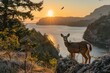 © ZeeZaa - Deer by Coastal Path at Sunrise