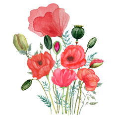Poster - Poppy flower bouquet. Watercolor floral illustration on transparent background