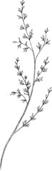 wild flower on branch with leaves