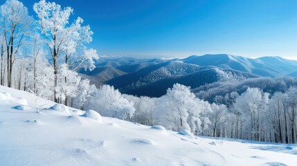 A serene and frosty winter panorama of the Blue Ridge Mountains just after a snowfall, the fresh snow reflecting the bright blue of the clear sky, creating a crisp and invigorating winter scene.