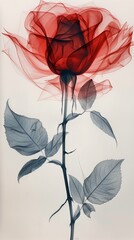 Wall Mural - a red rose in the shape of a single rose with leaves