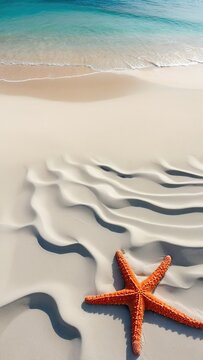 Summer poster background of starfish and palm leaf on beach