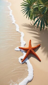 Summer poster background of starfish and palm leaf on beach
