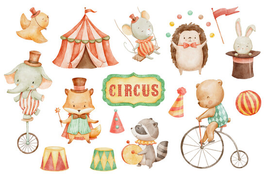 Watercolor circus cute animals, hand drawn illustrations set for nursery and kids. Woodland baby characters - elephant, bear on bike and bunny in magic hat