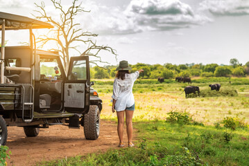 tourist woman near off road car watching on elephants on safari tour